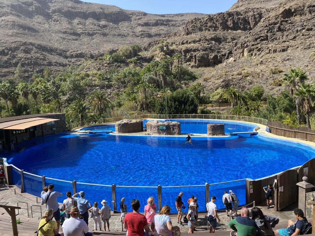 Gran Canaria Casa Magboss I By Jacek Budek Maspalomas  Eksteriør billede